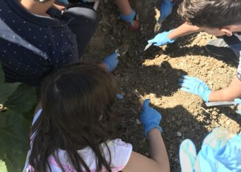 Φωτογραφίες από τον Αστικό Λαχανόκηπο