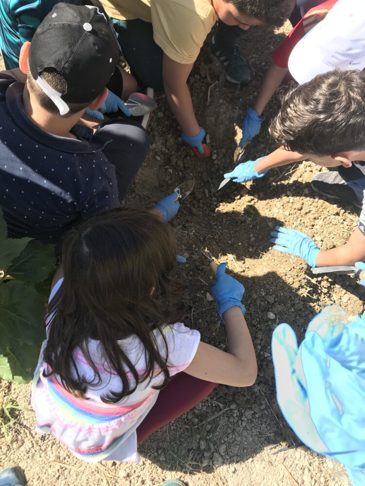 Φωτογραφίες από τον Αστικό Λαχανόκηπο