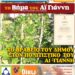 Το Βήμα του Αϊ Γιάννη Τεύχος 32, Σεπτέμβριος 2016