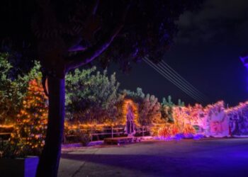 2021 – Φωταγώγηση του Χριστουγεννιάτικου Δέντρου